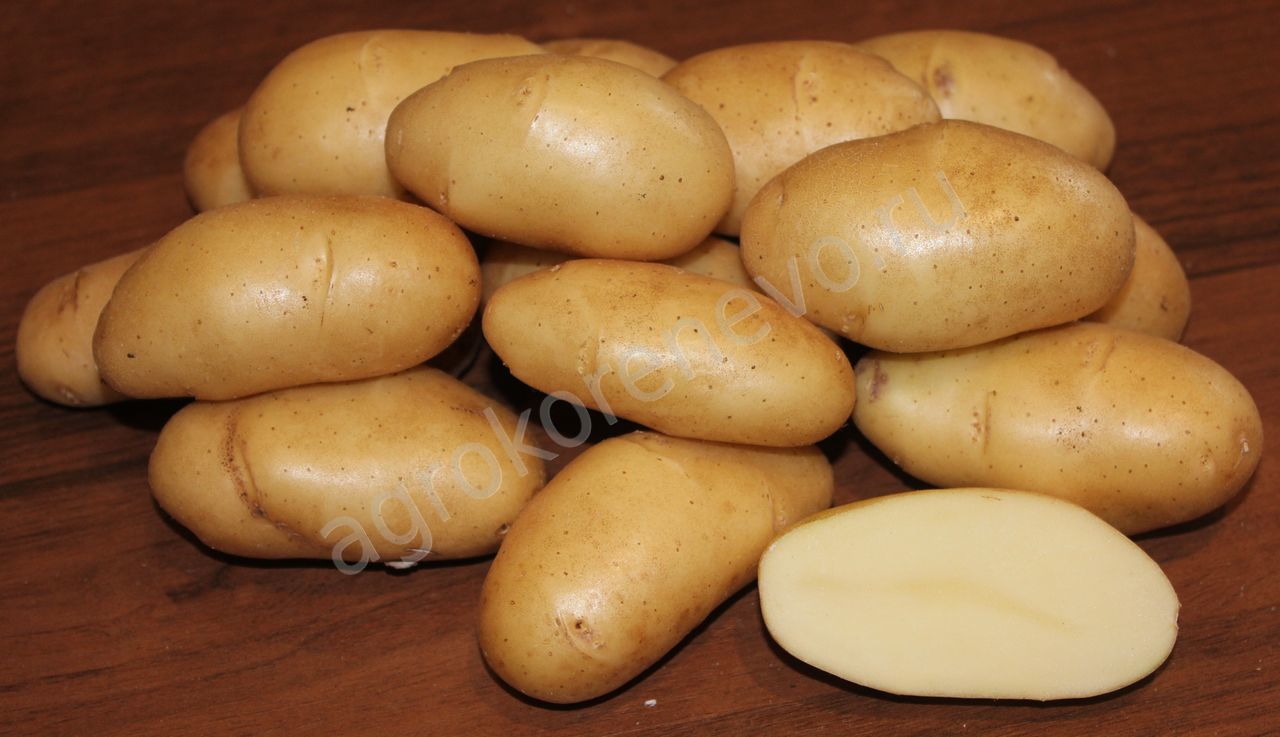 Сорта картофеля для фри