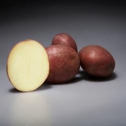 Альвара (Alwara) Альвара (Alwara)
