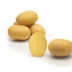 Лилли (Lilly) Лилли (Lilly)