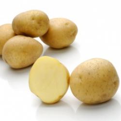 Карузо (Caruso) Карузо (Caruso)