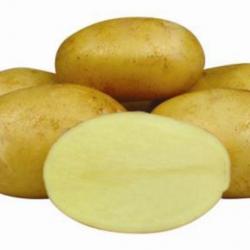 Леони (Leoni) Леони (Leoni)