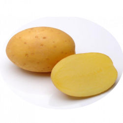 Мадейра (Madeira) Мадейра (Madeira)
