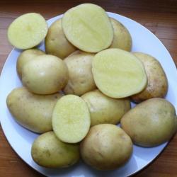 Маделине (Madeleine) Маделине (Madeleine)