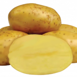Омега (Omega) Омега (Omega)