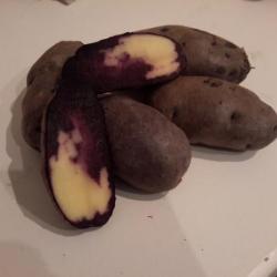 Северное сияние Северное сияние