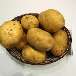 Миа (Mia) Миа (Mia)