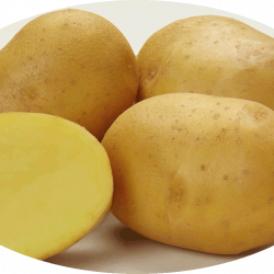 Лисана (Lisana) Лисана (Lisana)