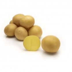 Пила (Peela) Пила (Peela)