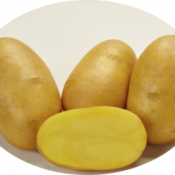Саньява (Sanjava) Саньява (Sanjava)