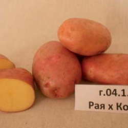 Каштак Каштак