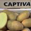 Каптива (Captiva) Каптива (Captiva)
