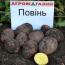 Повинь Повинь